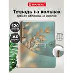 Тетрадь со сменным блоком Brauberg клетка 120 лист.