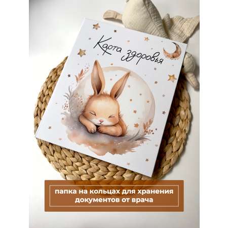 Папка на кольцах МистерСлон А4