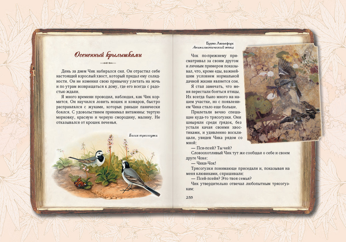 Книга Белый город Солнце для кузнечиков. Олеськины рассказы - фото 11