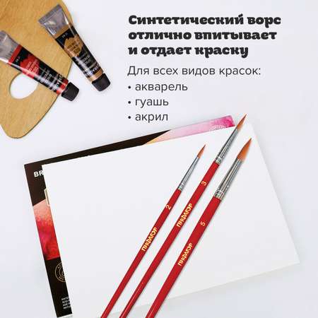 Кисть Пифагор 3 шт. (синтетика)