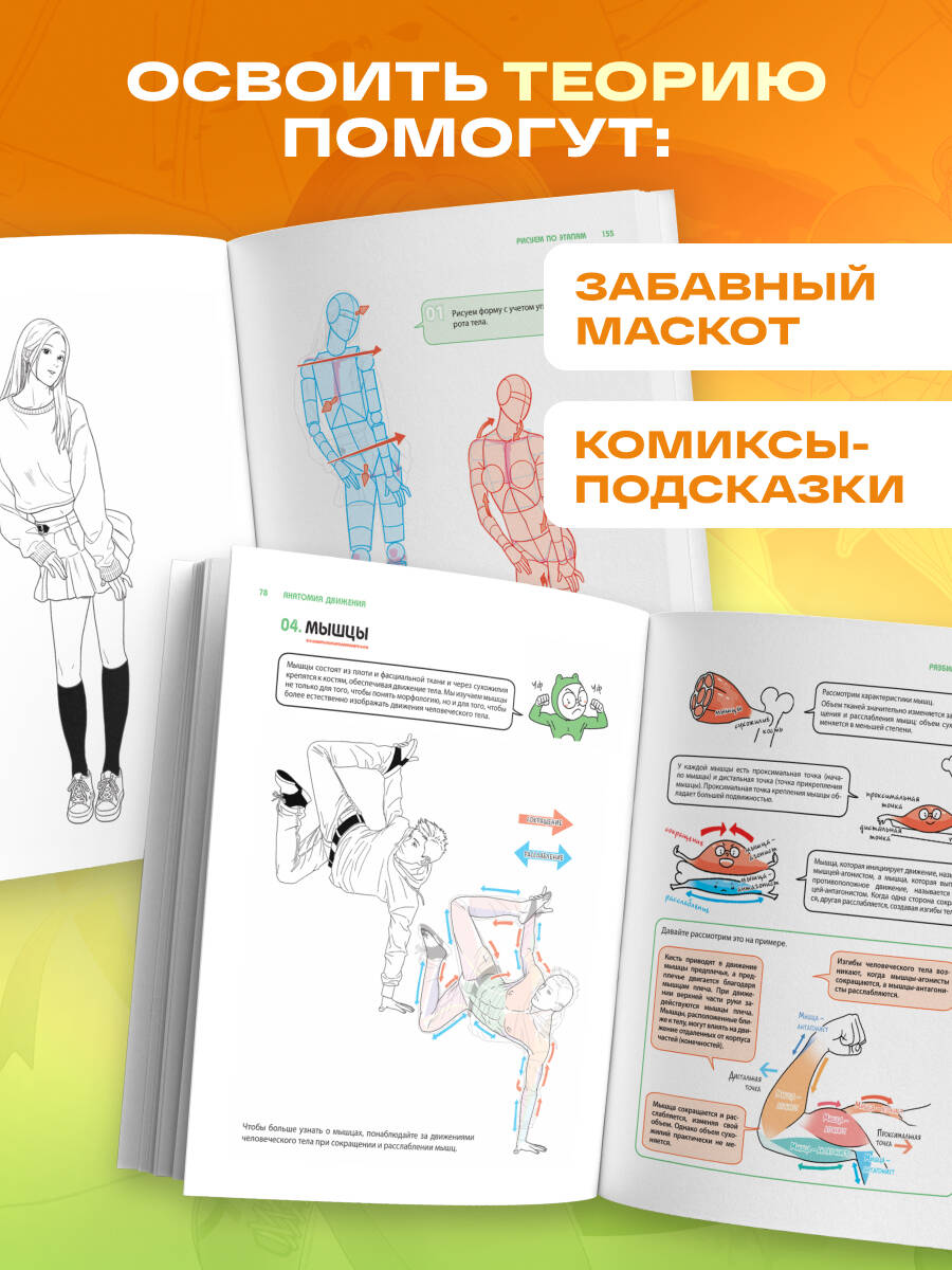 Книга БОМБОРА Анатомия движения. Полное руководство по рисованию тела человека для начинающих - фото 3