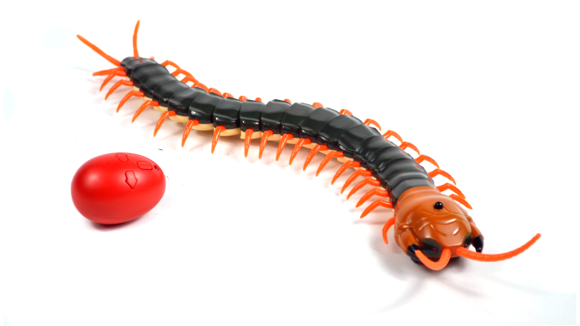 Насекомое РУ ZF best fun toys - фото 1
