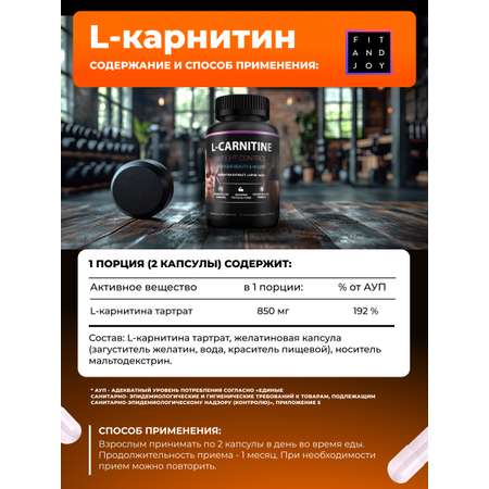 L карнитин FIT AND JOY 90 капсул