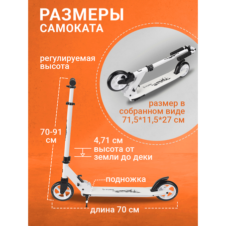 Самокат Рыжий кот двухколесный