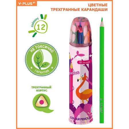 Карандаши цветные Y-plus 12 шт.
