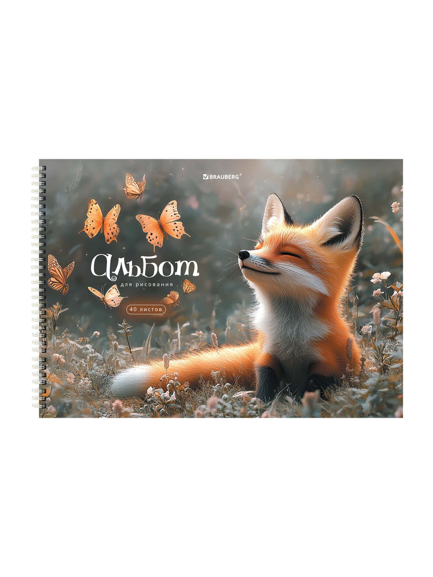 Альбом Brauberg А4 40 лист. 2 шт. - фото 5