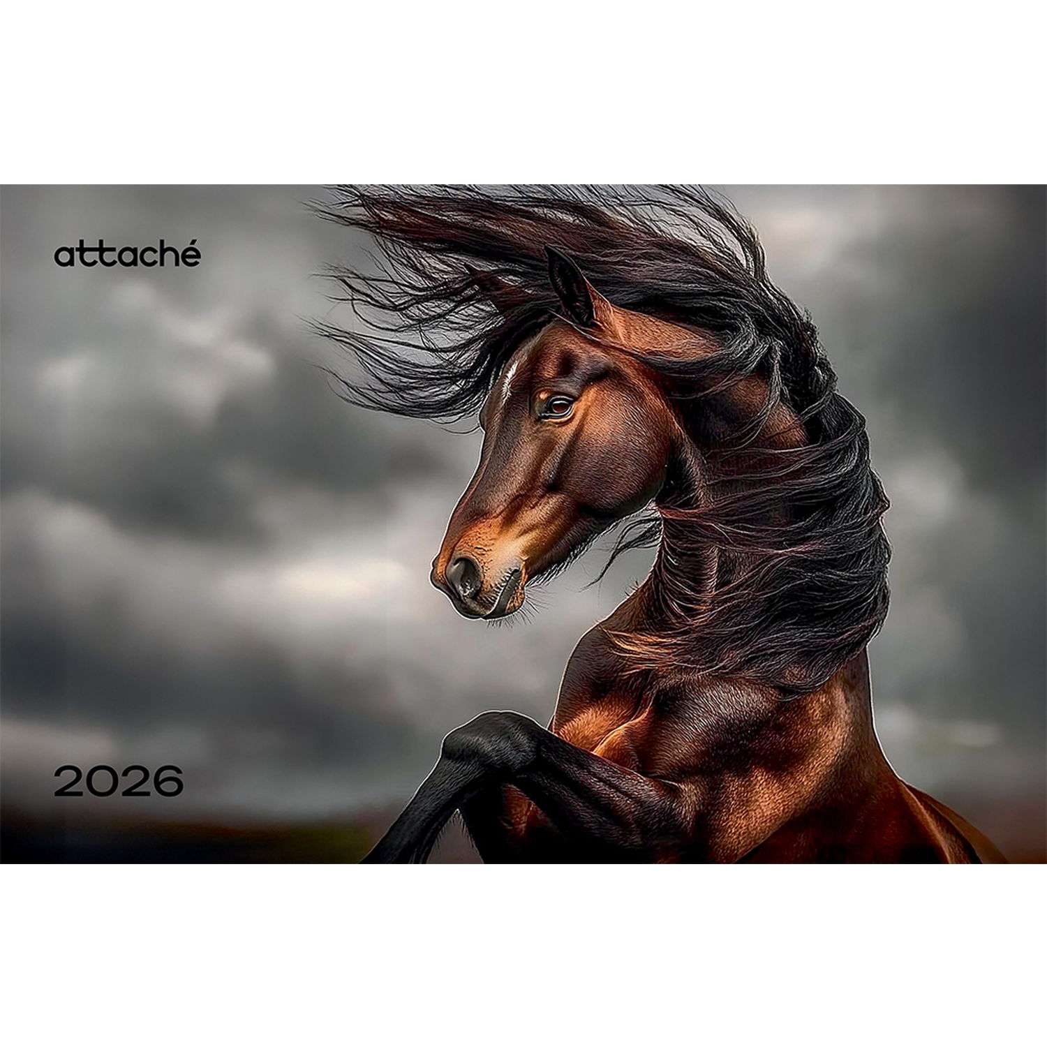 Календарь настенный Attache 3-х блочный 2026 305*675 в ассортименте - фото 7