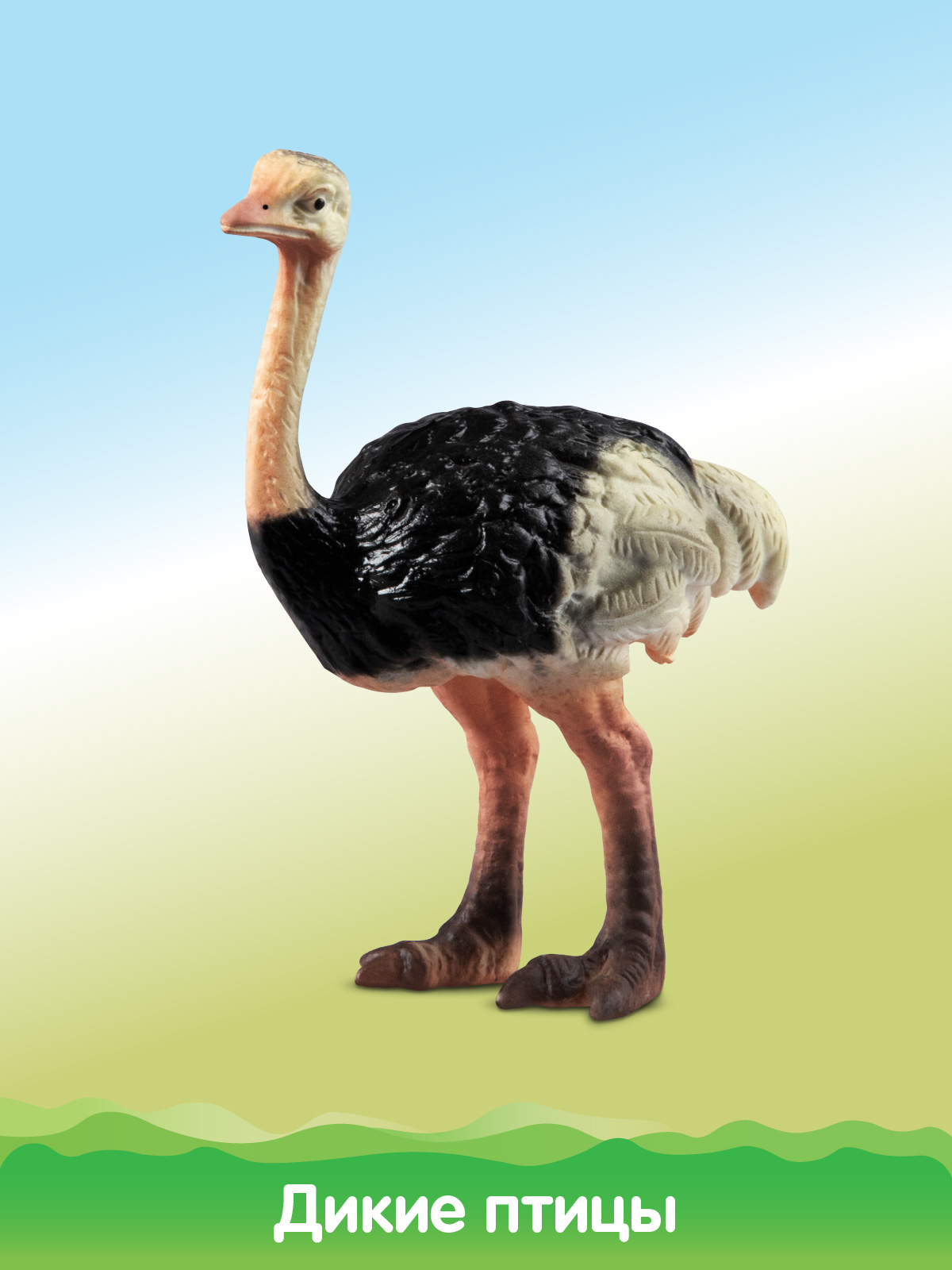 Игровой набор DARWIN Животные Птицы - фото 11