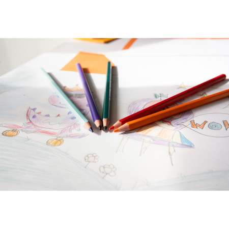 Карандаши цветные BIC 12 шт.