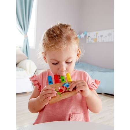 Игрушка музыкальная Hape Разноцветная флейта