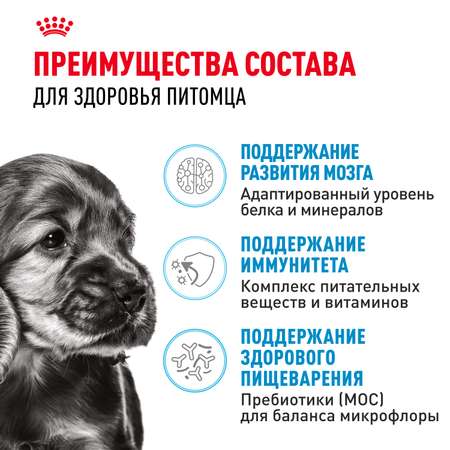 Корм для щенков ROYAL CANIN Puppy мелких пород 2кг