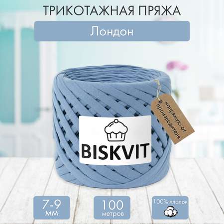 Трикотажная пряжа BISKVIT Лондон