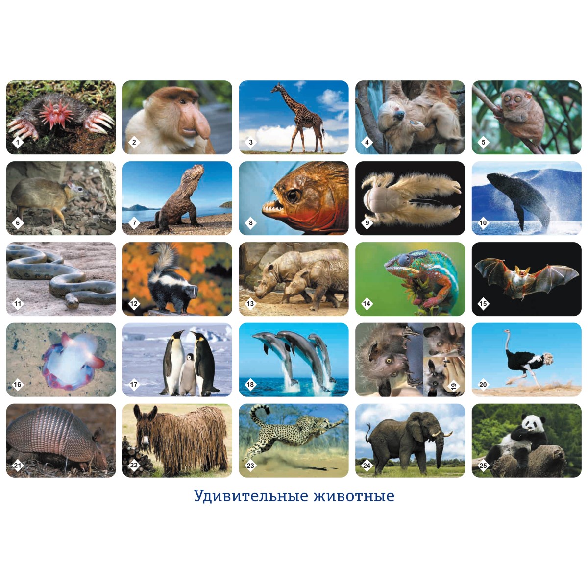 Настольная игра Нескучные игры Мемо - фото 3