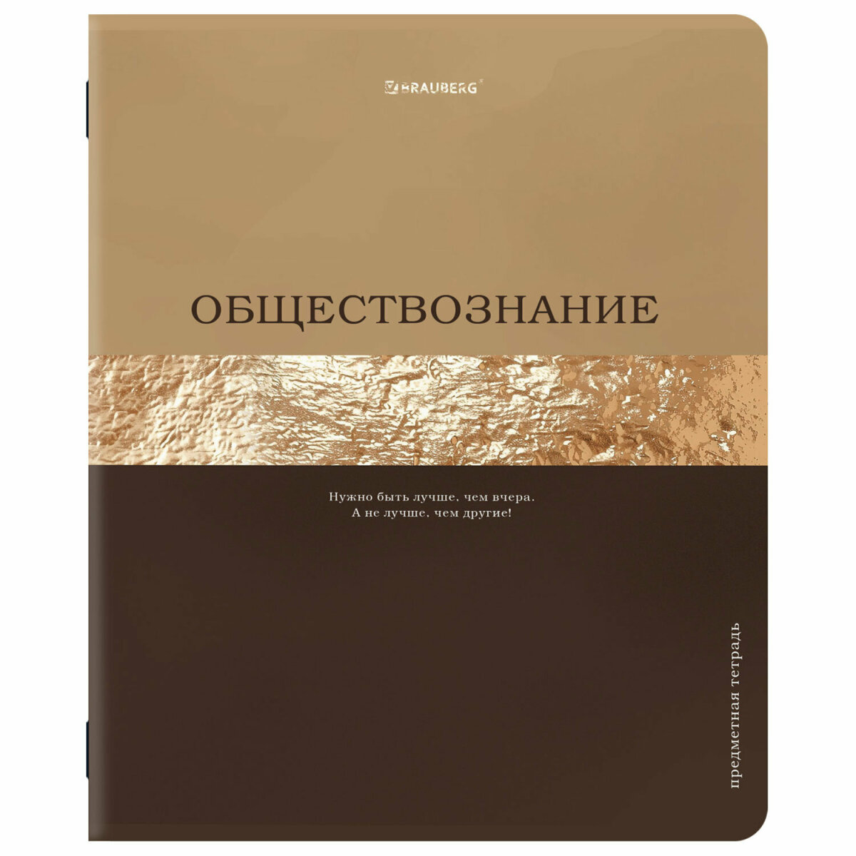 Тетрадь Brauberg 48 лист. 12 шт. - фото 9