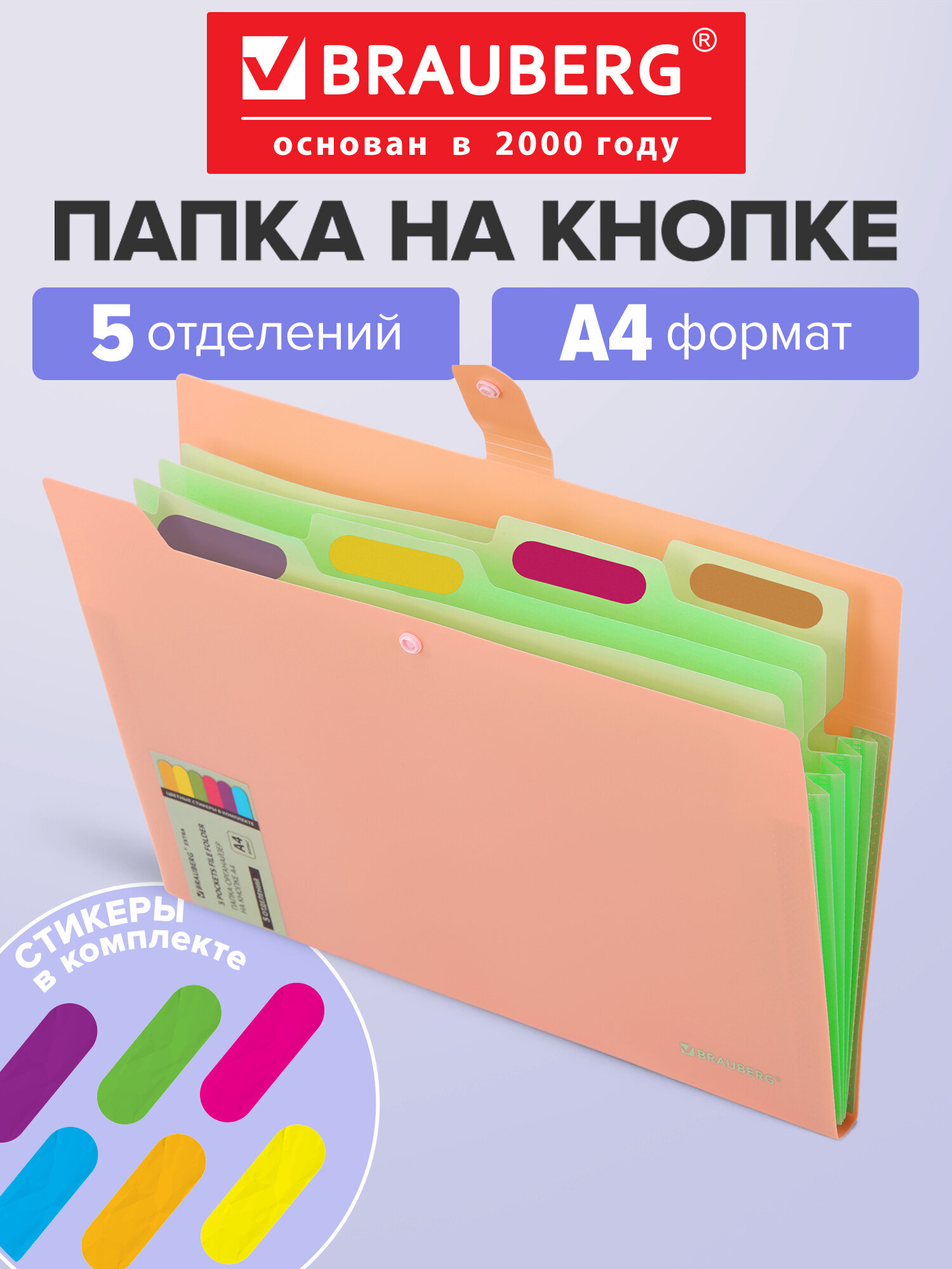 Папка-органайзер Brauberg А4 - фото 1