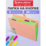 Папка-органайзер Brauberg А4