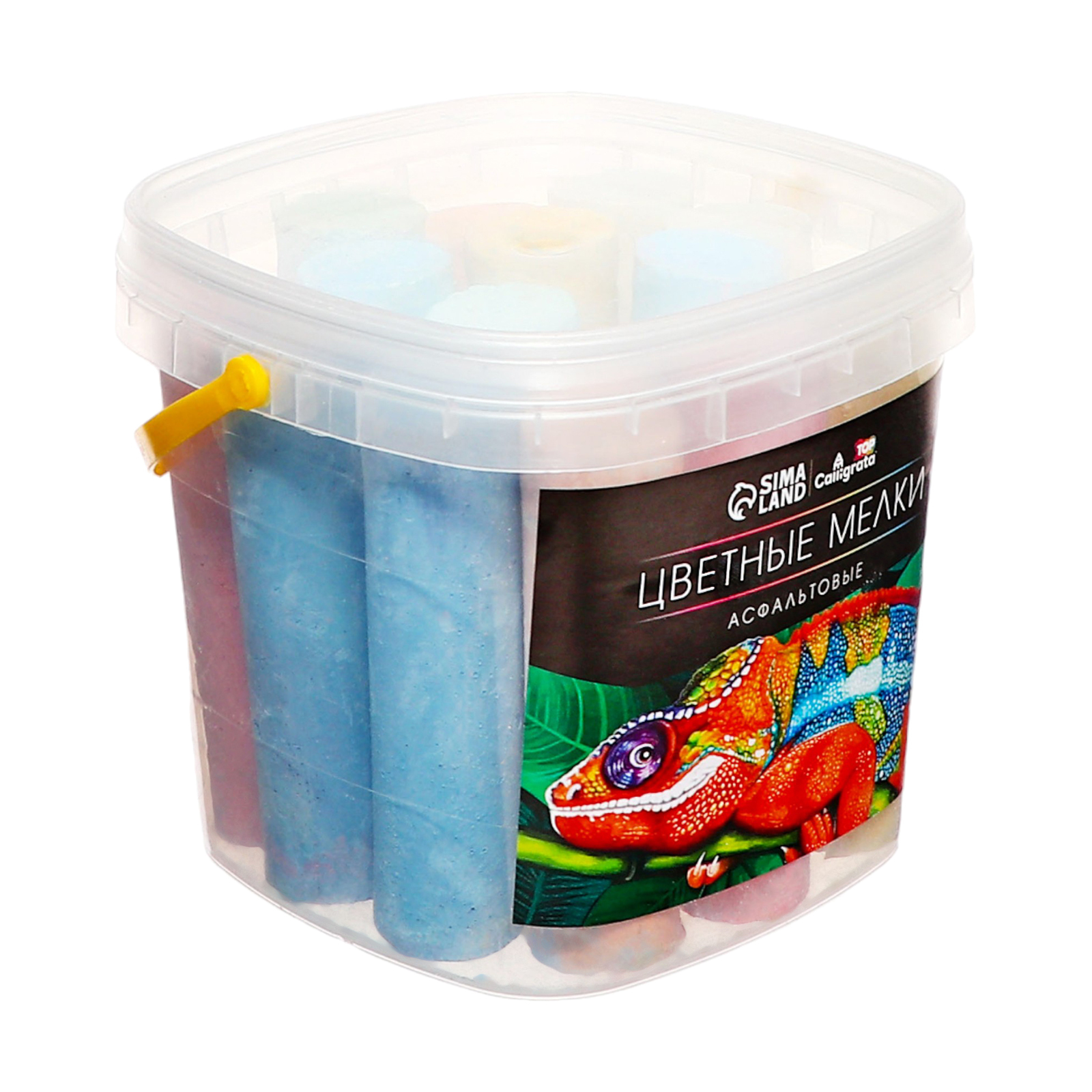 Calligrata - фото 2