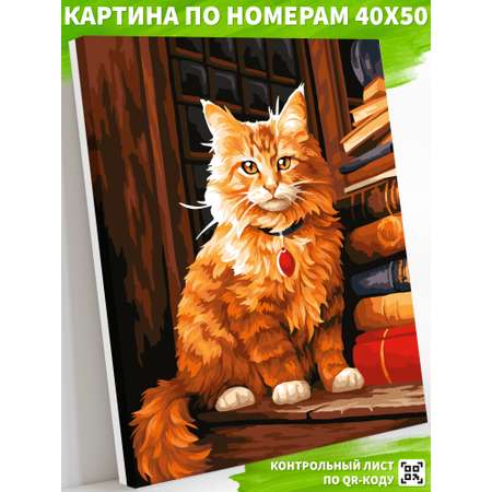 Картина по номерам Art on Canvas Мудрый кот в ассортименте