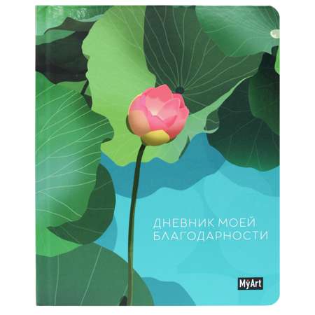Блокнот Проф-Пресс Дневник благодарности. А5 80 лист.