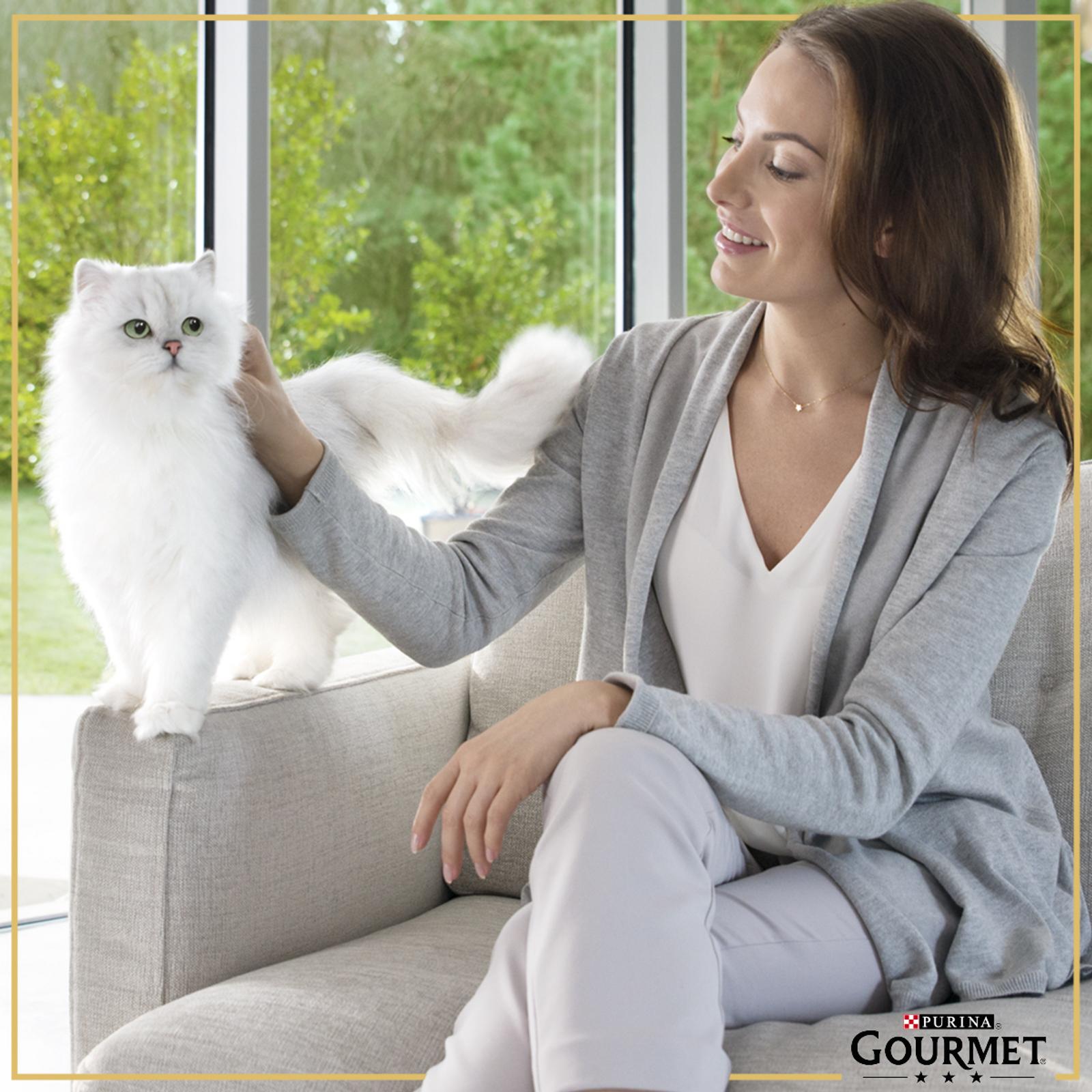 Корм влажный для кошек Гурмэ Mon Petit 50г с говядиной пауч - фото 9
