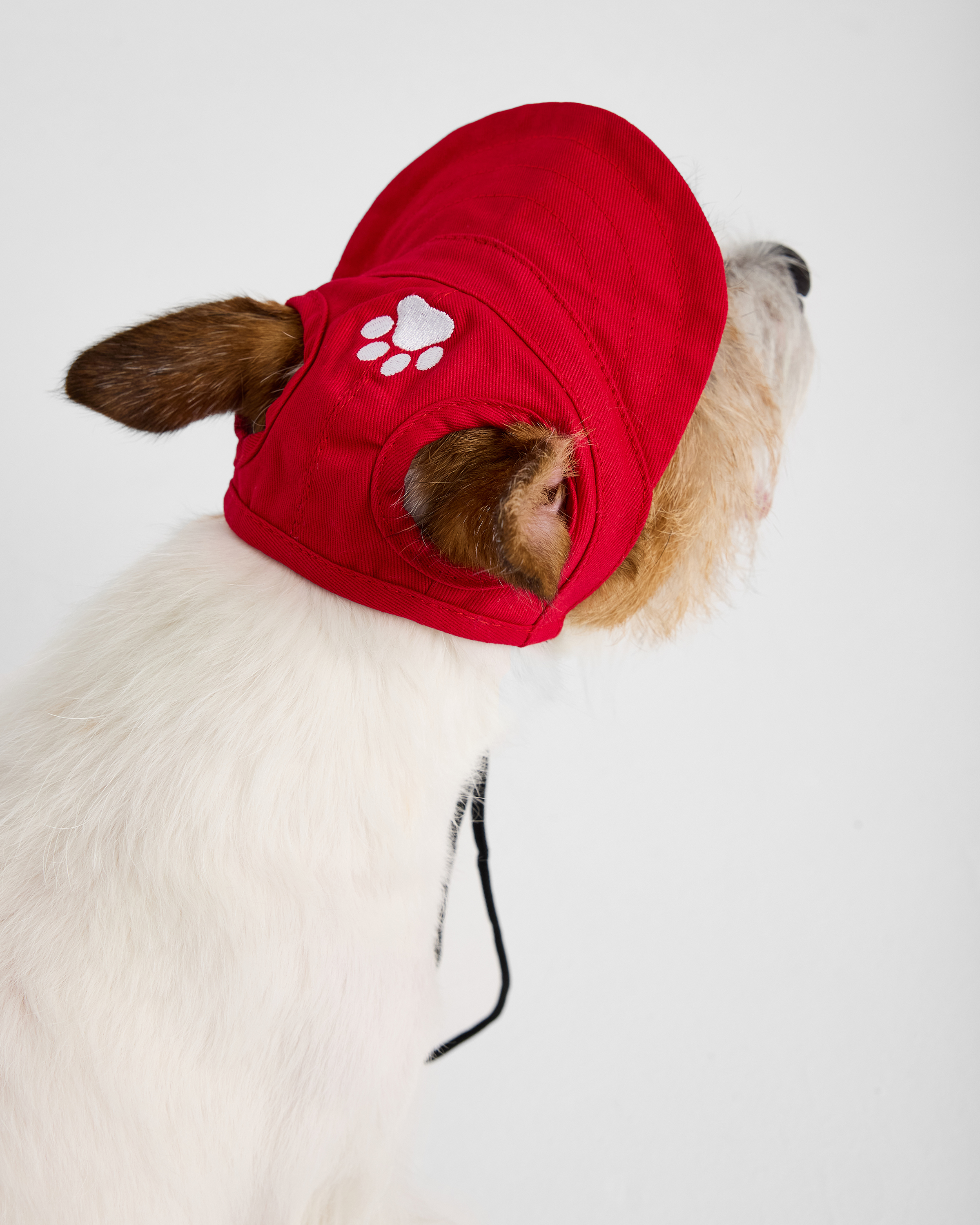 Кепка для собак и кошек Зоозавр - фото 4