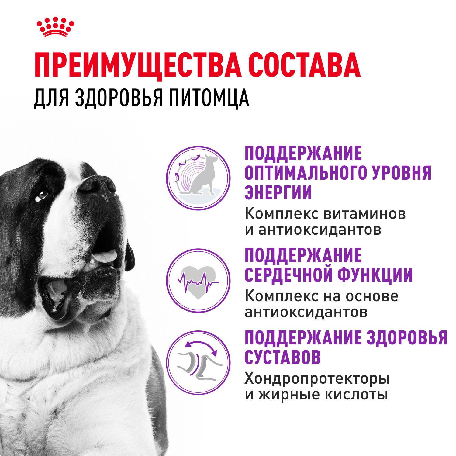 Корм для собак ROYAL CANIN гигантских пород 4кг - фото 3