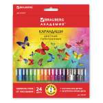 Карандаши цветные Brauberg 24 шт.