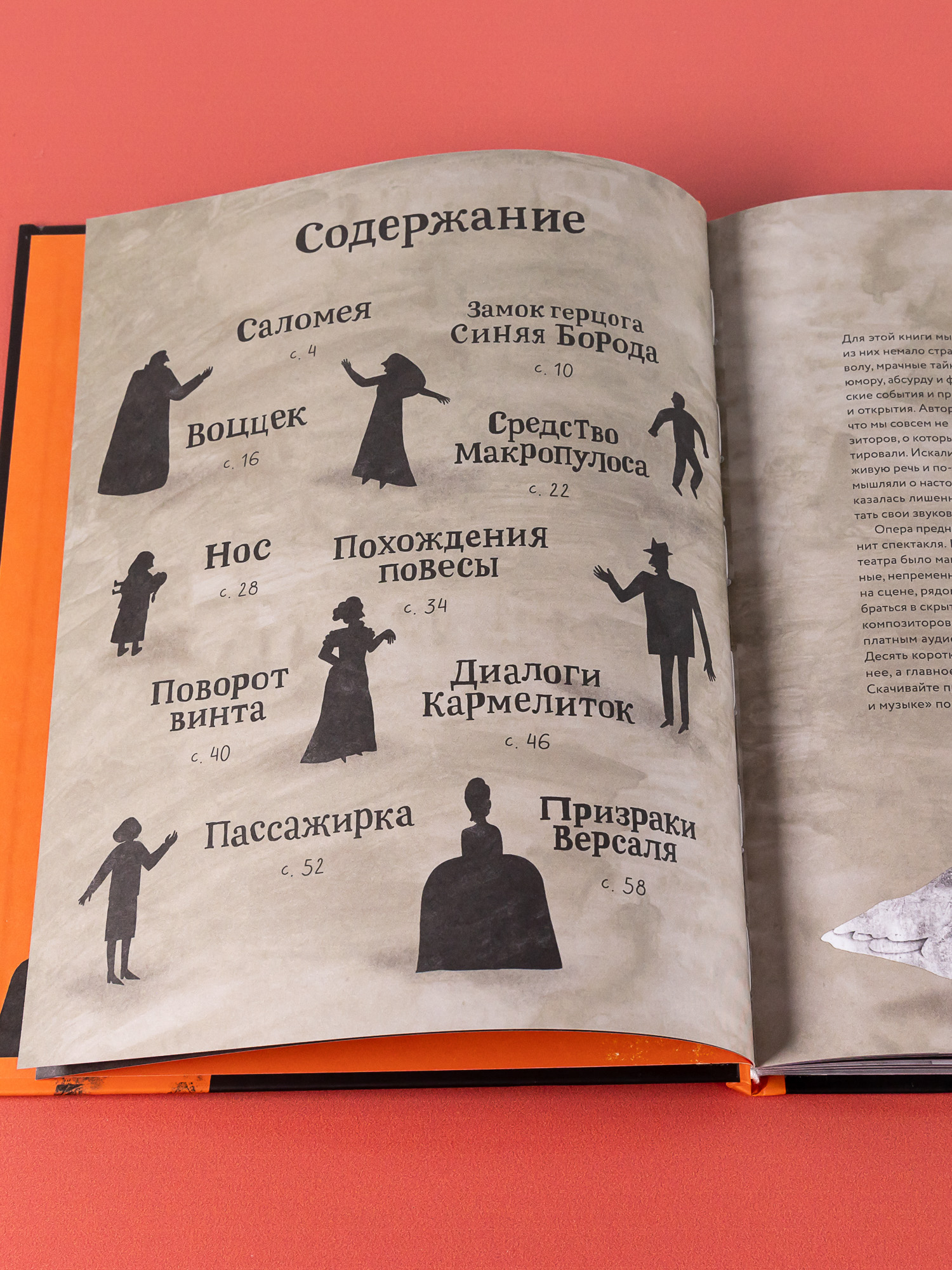 Книга Альпина. Дети Оперы и призраки. Страшные истории в буквах и картинках - фото 3