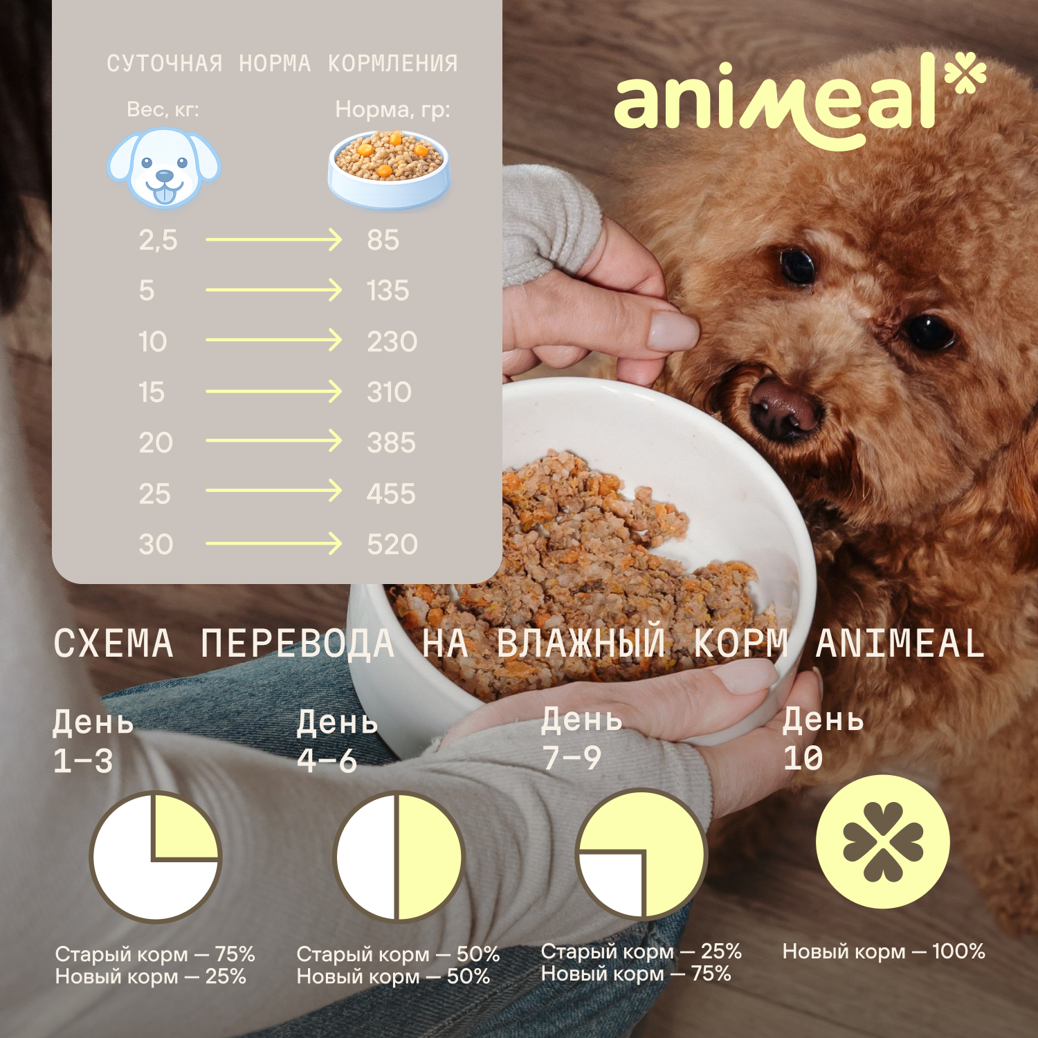 Корм для собак полнорационный натуральны animeal из мяса баранины на пару для взрослых собак всех пород 300г - фото 6