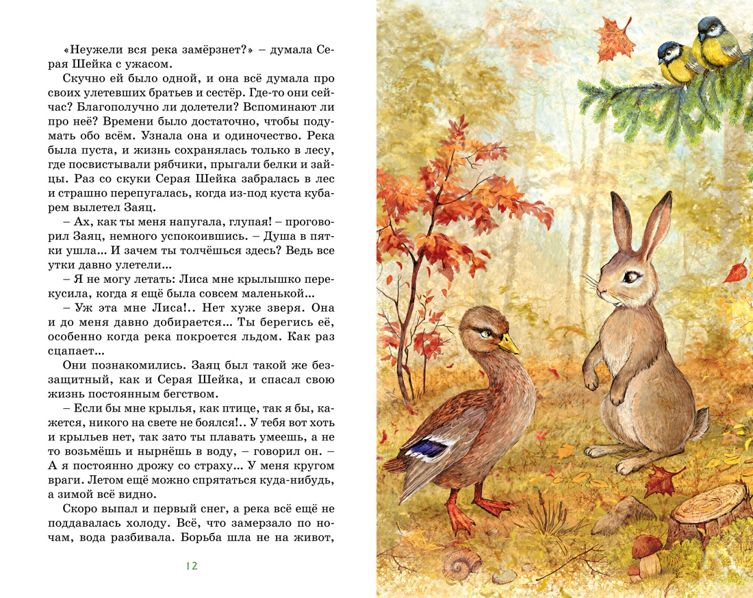 Книга Махаон КласЛит. Мамин-Сибиряк Д. Серая шейка - фото 7