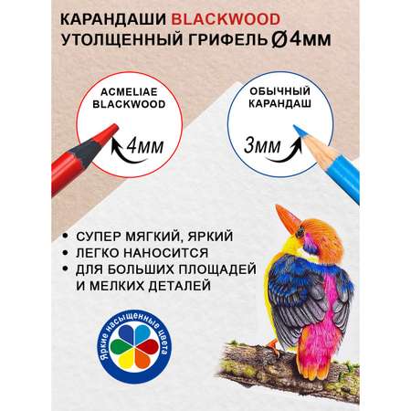 Карандаши цветные ACMELIAE 12 шт.