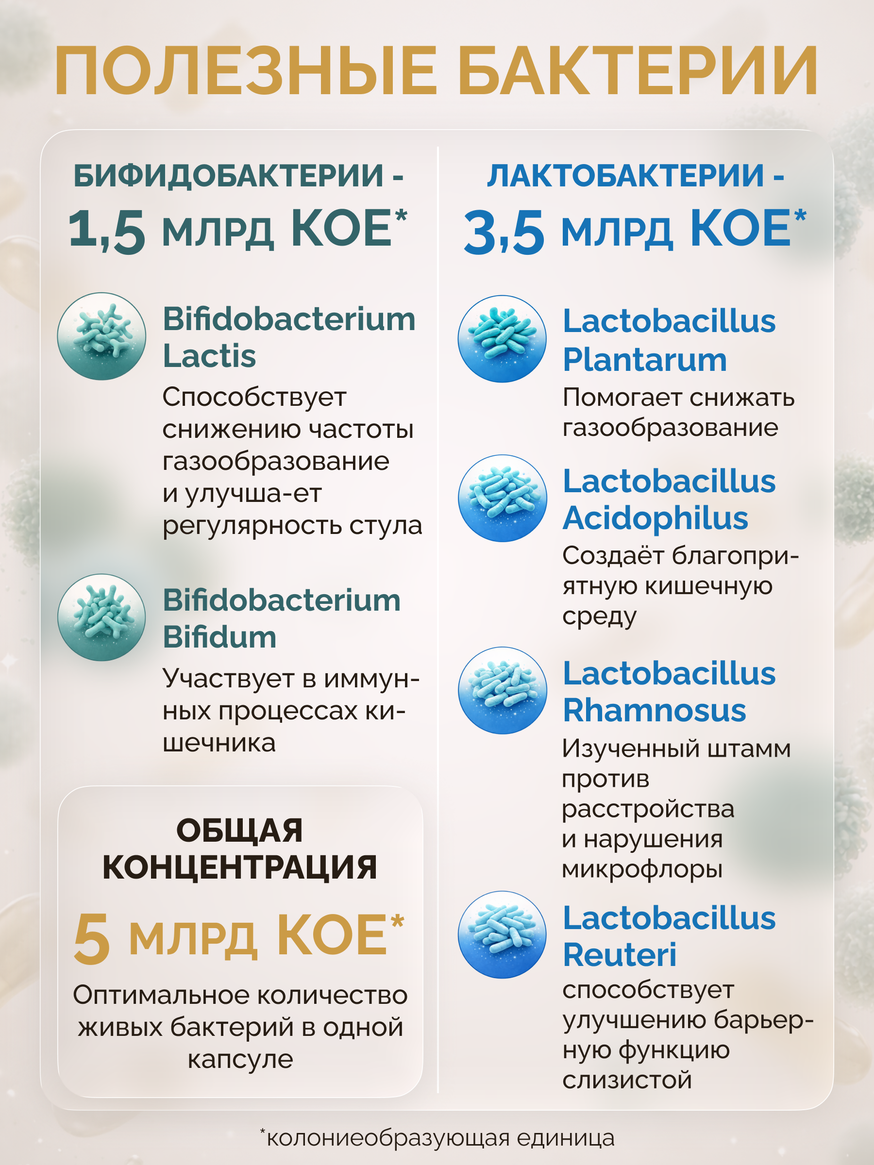 Пробиотики + Цеолит MedCraft Набор Здоровье ЖКТ - фото 4