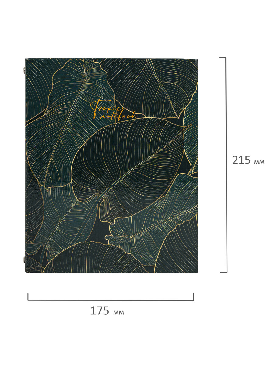 Тетрадь со сменным блоком Brauberg клетка 240 лист. - фото 5