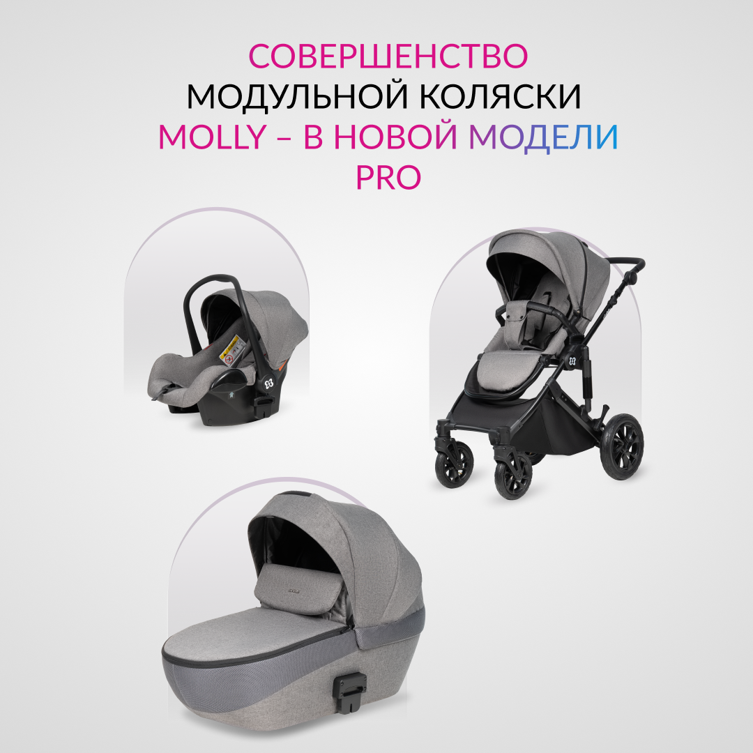 Коляска 3в1 Farfello Molly Pro - фото 4