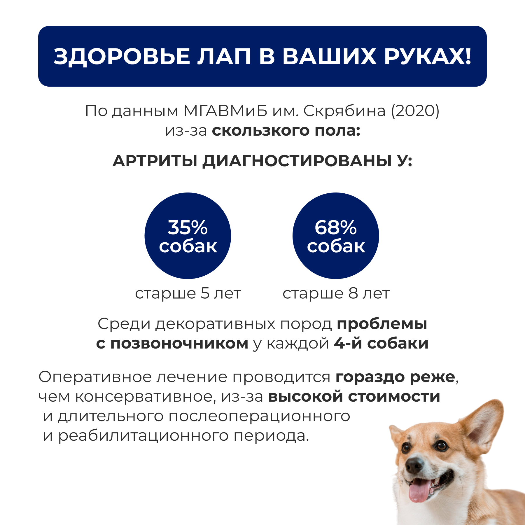 Коврик для животных Parklon Cushion 140х100х0,5см - фото 4