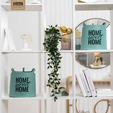Органайзер для хранения Eva SWEET HOME Мятный 25х20х24 см 7 л