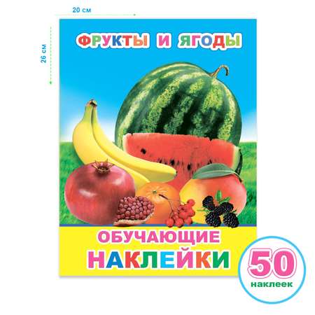 Набор книг Алфея с наклейками 51 наклейка 4 шт
