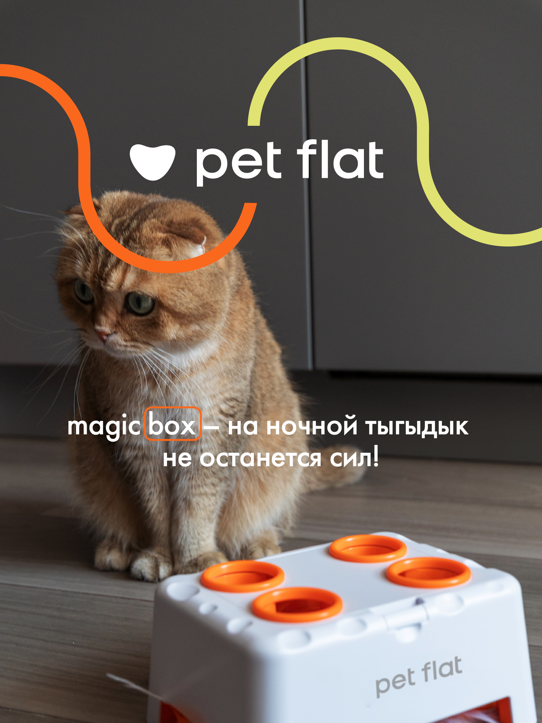 Интерактивная игрушка Pet Flat Умная дразнилка для кошек - фото 8