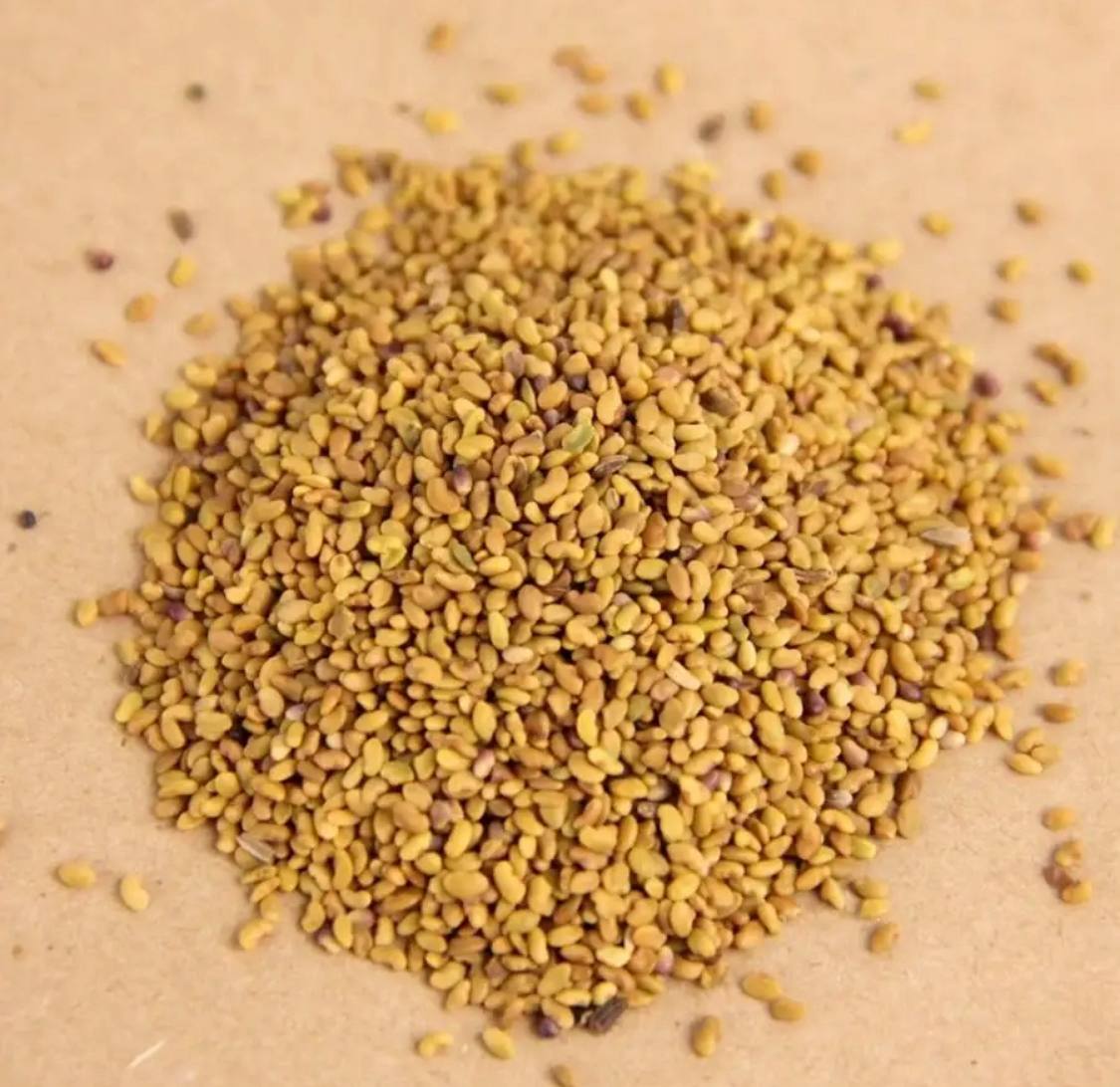 Семена для микрозелени MegaMedia люцерна - фото 2