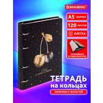 Тетрадь Brauberg клетка