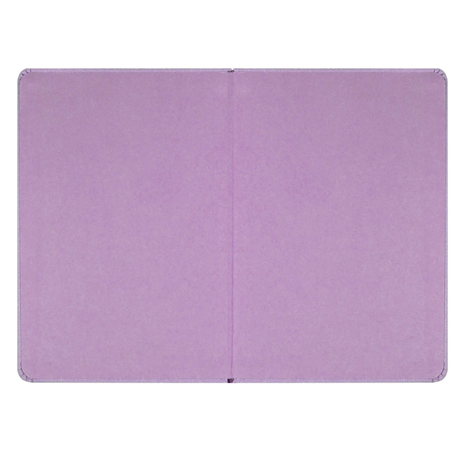 Ежедневник Феникс + ESCALADA 164 лист. - фото 7