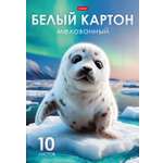 Белый картон Hatber 10 лист.