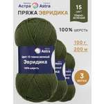 Пряжа Astra Premium Эвридика шерстяная 100 г 200 м 15 темно-зеленый 3 мотка