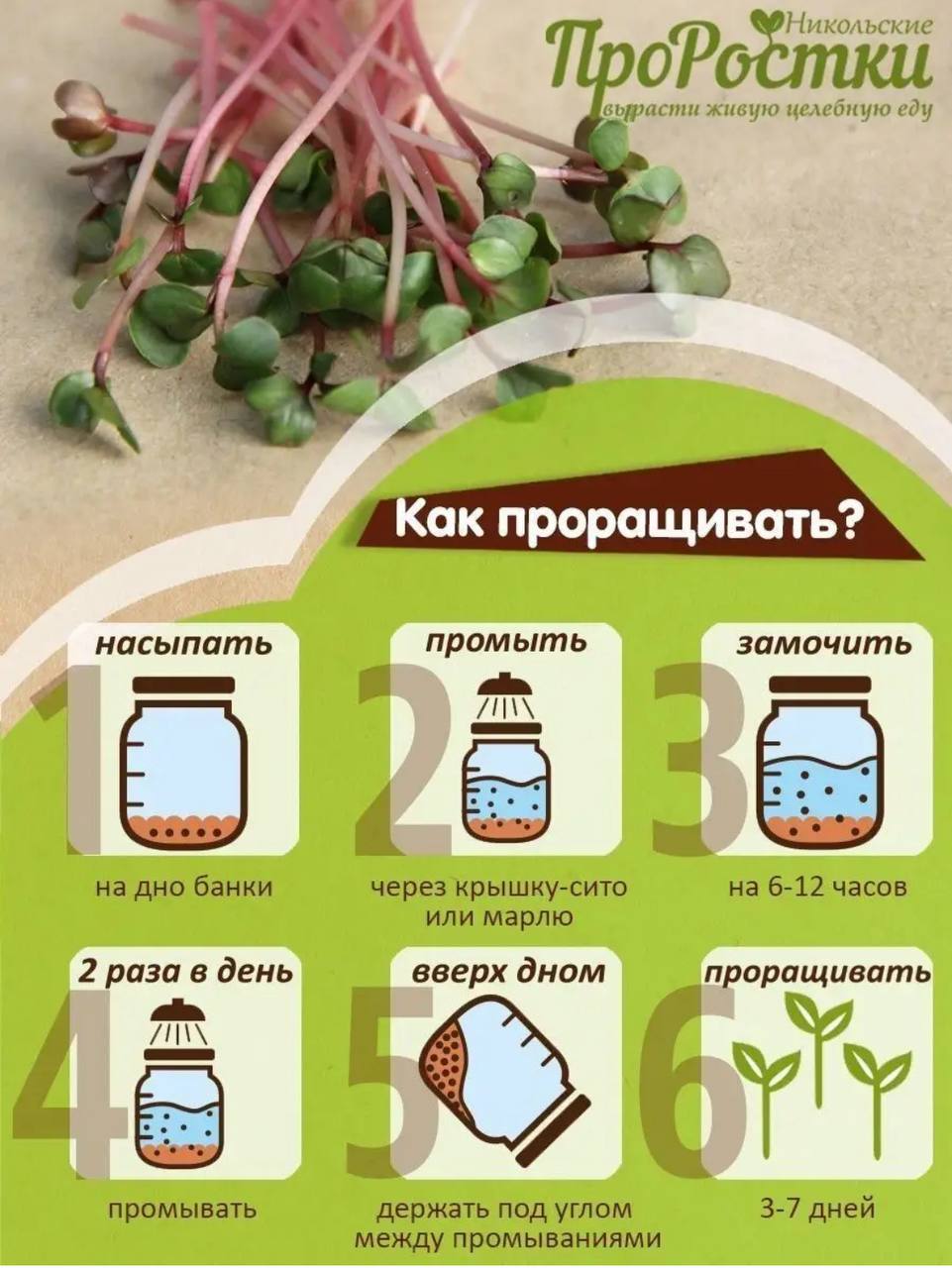 Семена для микрозелени MegaMedia редька - фото 8