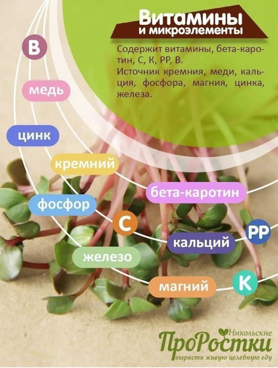 Семена для микрозелени MegaMedia редька - фото 5