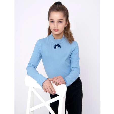 Водолазка IVDT37