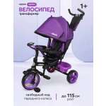 Трехколесный велосипед Velobibi 10 дюймов