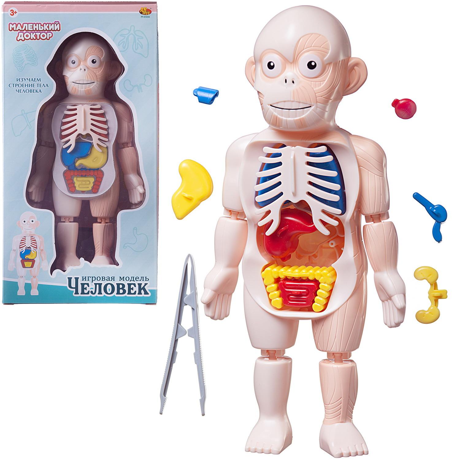 Игрушка Abtoys Доктор (инструменты) - фото 3