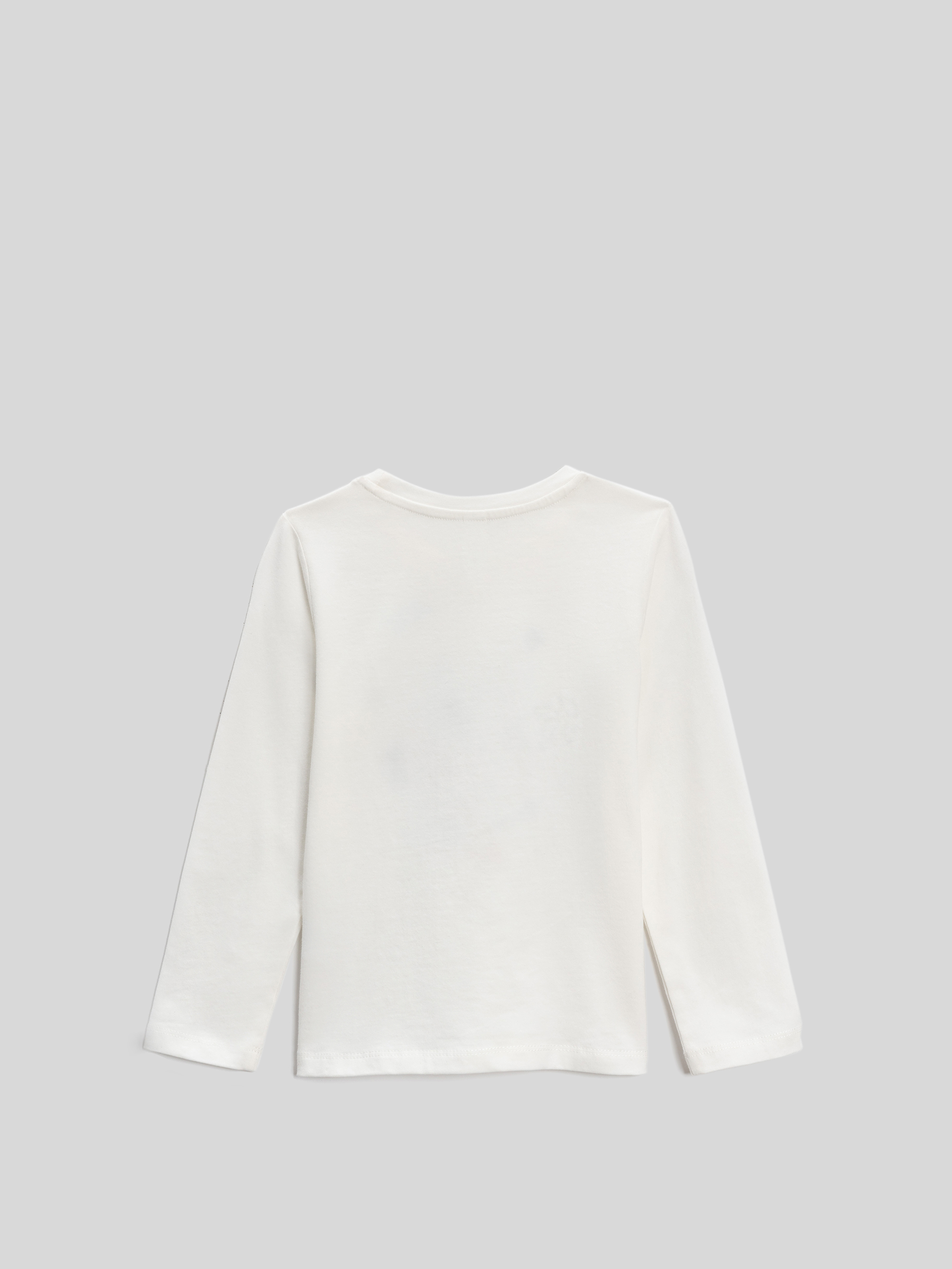 Лонгслив Acoola 20220150120_0092624 - фото 6