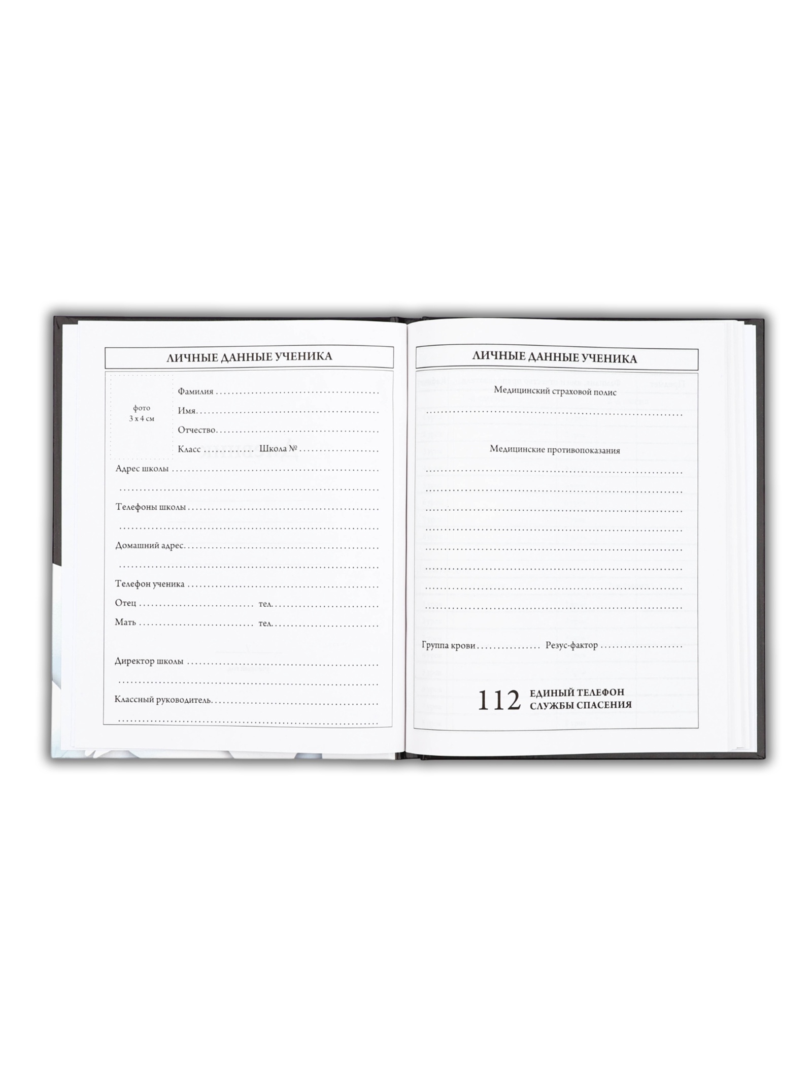 Дневник ArtFox STUDY школьный для 5-11 класса - фото 4